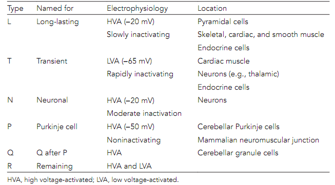 calcium-channels-neurotransmitter-release-assignment-help